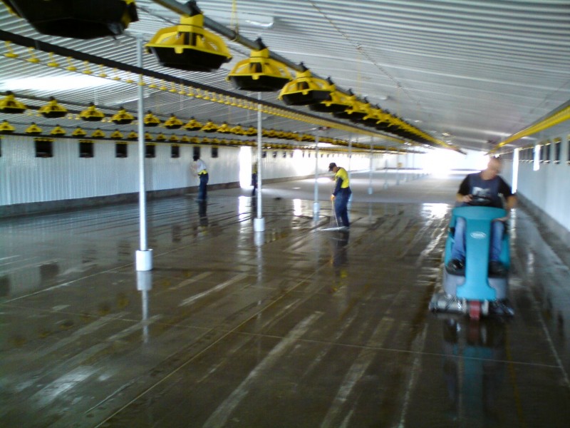 Cape Contracting surface treatments for flooring